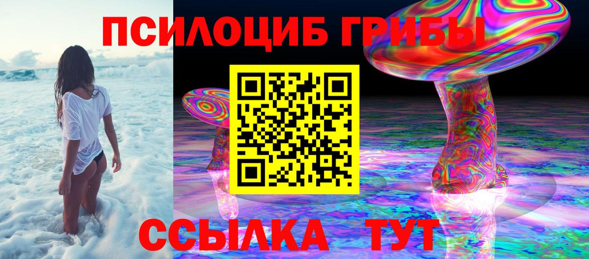 Псилоцибиновые грибы мухоморы Бугуруслан