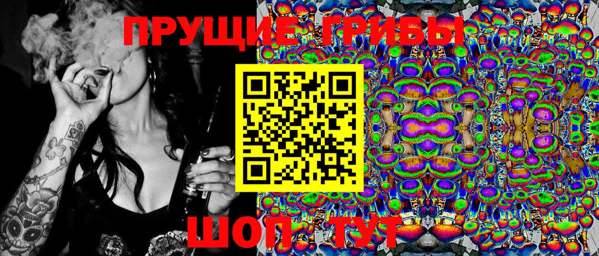 Псилоцибиновые грибы Cubensis  хочу наркоту  Псилоцибиновые грибы Psilocybe  Бугуруслан 