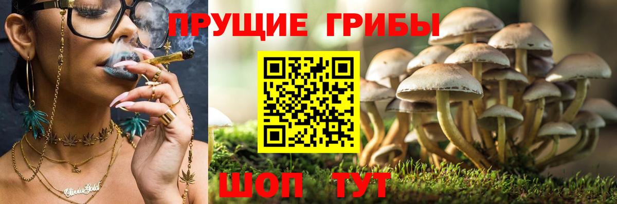Галлюциногенные грибы Magic Shrooms Бугуруслан