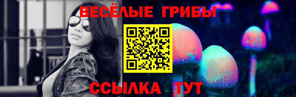 Галлюциногенные грибы Psilocybine cubensis  Вход с VPN  Бугуруслан 